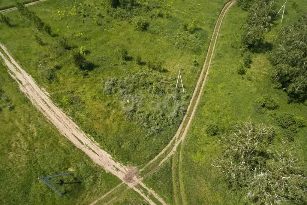 Участок в Алтайский край, Первомайский район, с. Санниково, Овощевод ... - Фото 1