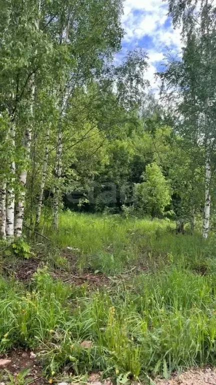 Участок в Кировская область, Киров городской округ, д. Шустовы ул. ... - Фото 2