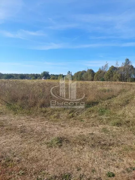 Участок в Калужская область, Дзержинский муниципальный округ, Дворцы ... - Фото 1