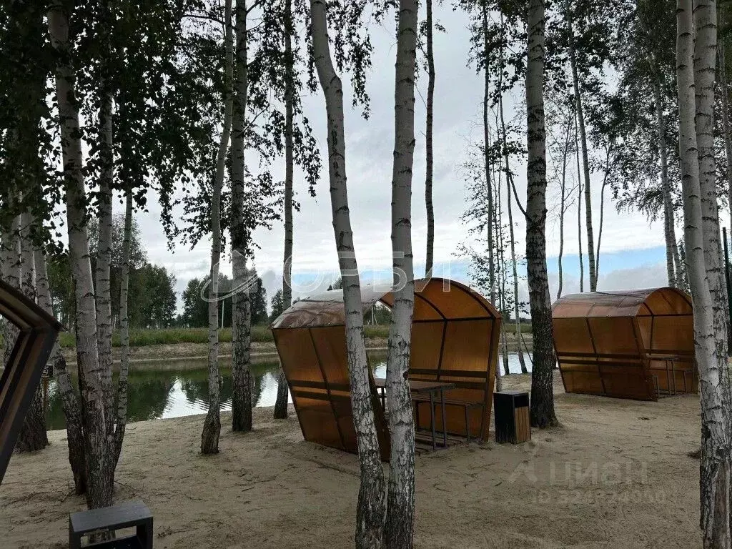 Участок в Тюменская область, Нижнетавдинский муниципальный округ, ... - Фото 1