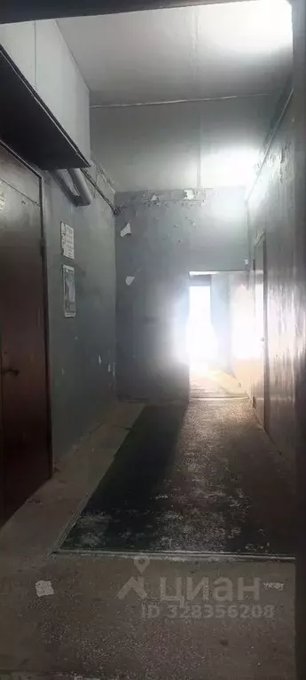 Помещение свободного назначения в Новосибирская область, Бердск ул. ... - Фото 1