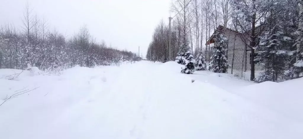 Участок в Ленинградская область, Всеволожский район, Агалатовское ... - Фото 0