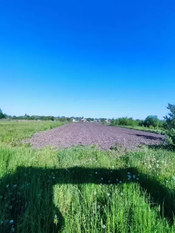 Дом в Белгородская область, Яковлевский муниципальный округ, с. ... - Фото 2