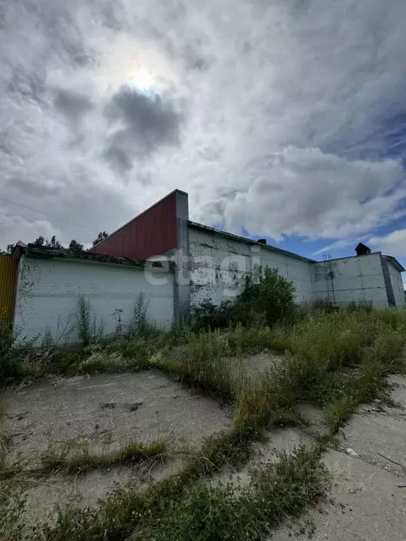 Склад в Сахалинская область, Южно-Сахалинск Украинская ул., 72 (1035 ... - Фото 1