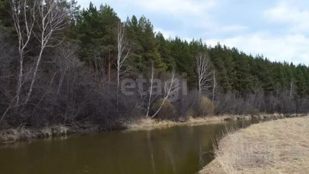 Участок в Свердловская область, Горноуральский муниципальный округ, д. ... - Фото 1