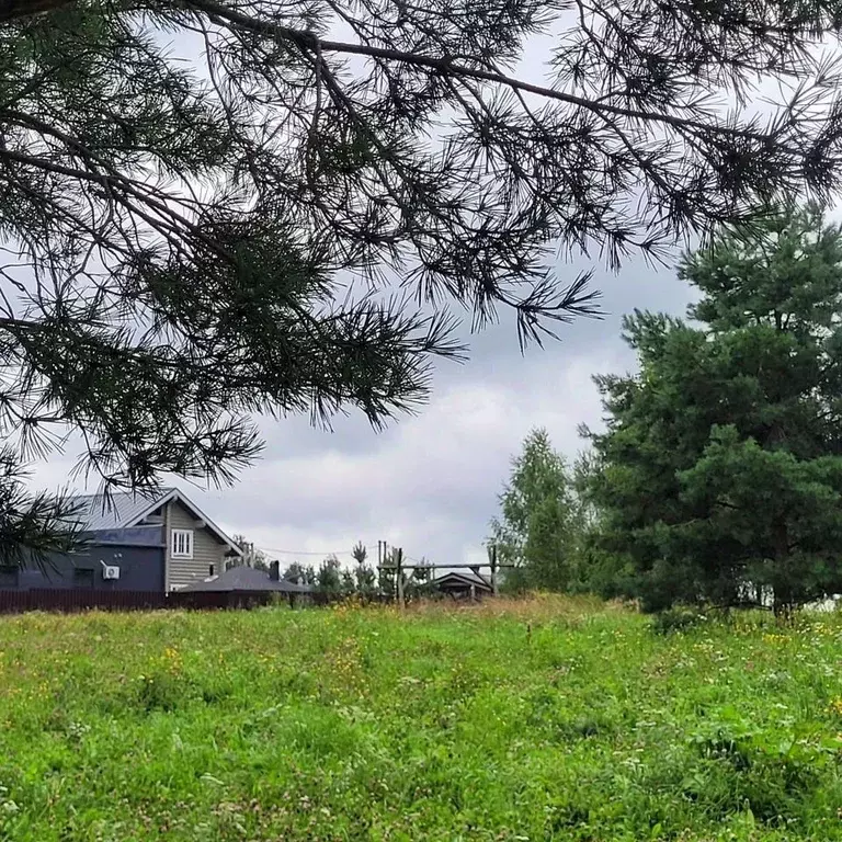 Участок в Московская область, Дмитровский муниципальный округ, д. ... - Фото 1