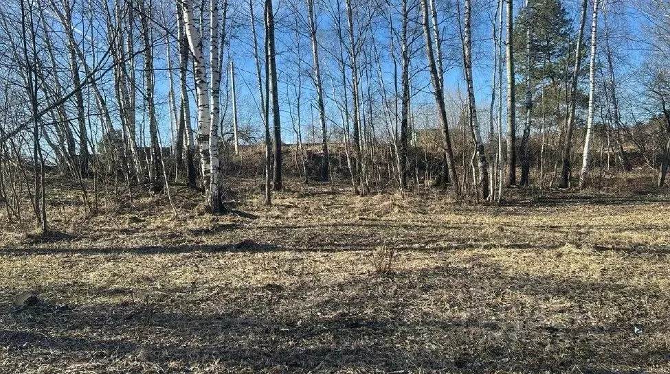 Участок в Московская область, Ступино городской округ, д. Тутыхино ул. ... - Фото 0