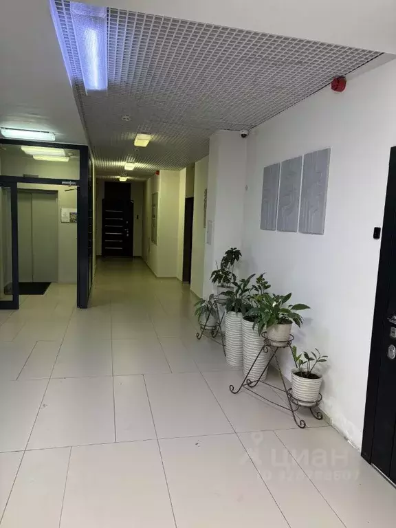 1-к кв. Московская область, Химки Клязьма-Старбеево мкр, Международный ... - Фото 1