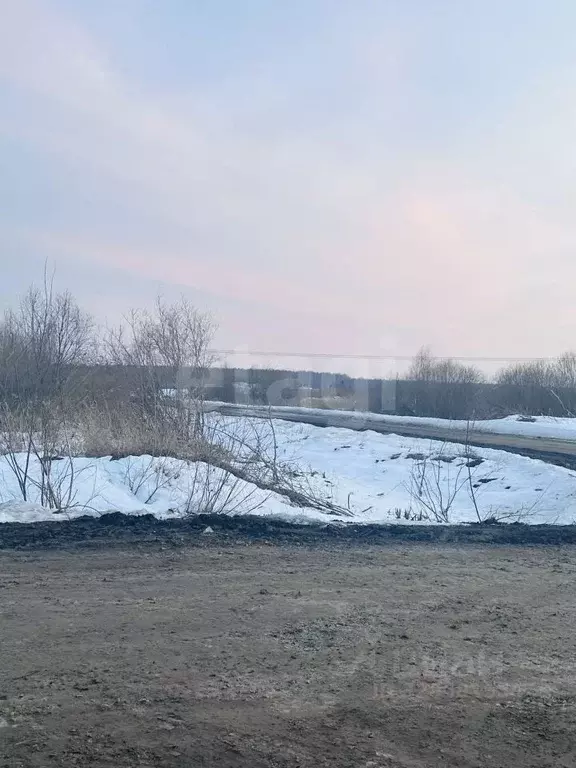 Участок в Тюменская область, Тюмень  (10.0 сот.) - Фото 2