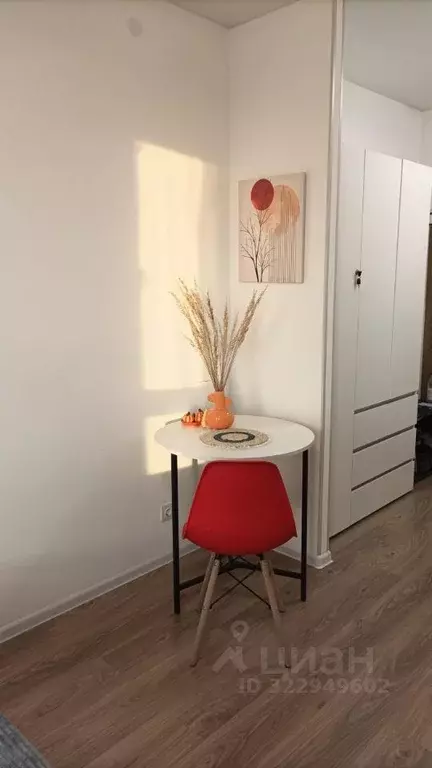 Студия Московская область, Домодедово городской округ, с. Ям ул. ... - Фото 2