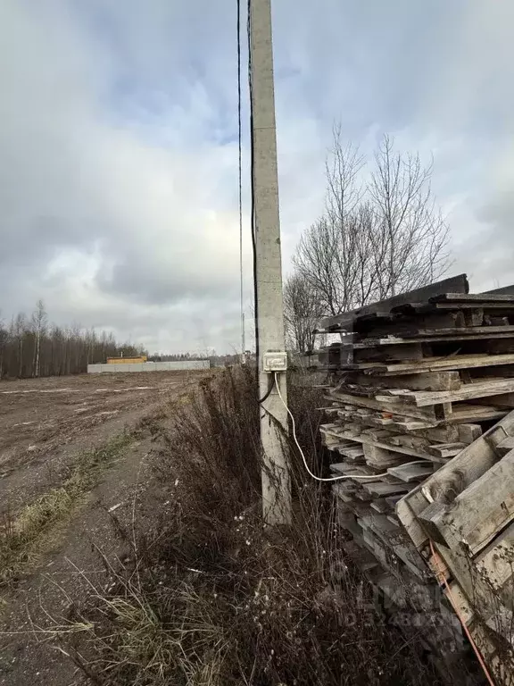 Дом в Костромская область, Красносельский район, Боровиковское с/пос, ... - Фото 1