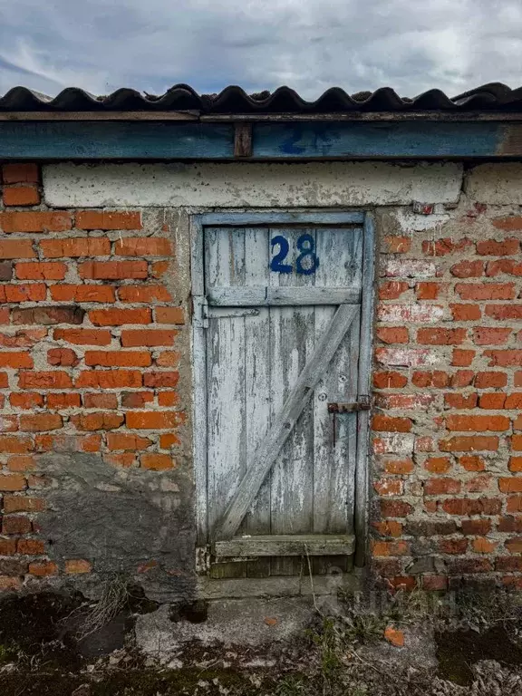 Помещение свободного назначения в Орловская область, Кромы пгт ул. К. ... - Фото 1