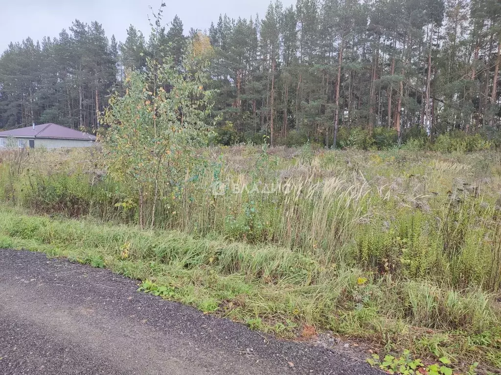 Участок в Нижегородская область, Богородский муниципальный округ, с. ... - Фото 2