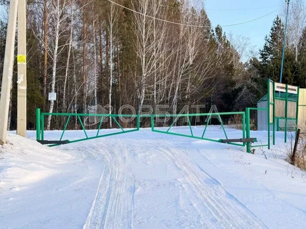 Участок в Тюменская область, Ялуторовский муниципальный округ, СО ... - Фото 1