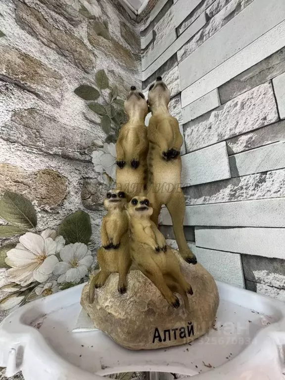 Дом в Алтай, с. Онгудай ул. Каменная (48 м) - Фото 1