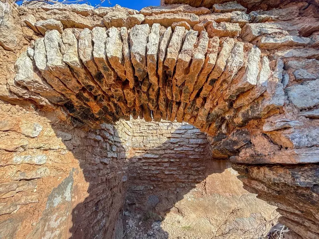 Участок в Псковский муниципальный район, Завеличенская волость, ... - Фото 1