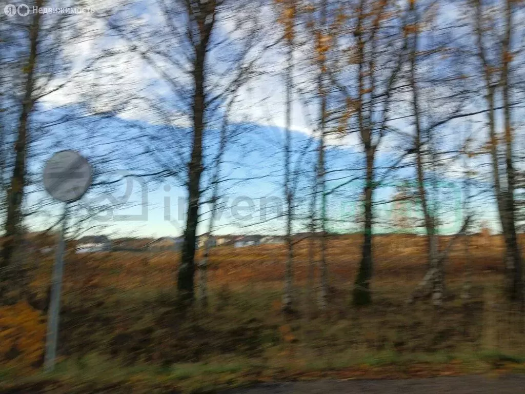 Участок в Калининградская область, Зеленоградский муниципальный округ, ... - Фото 2