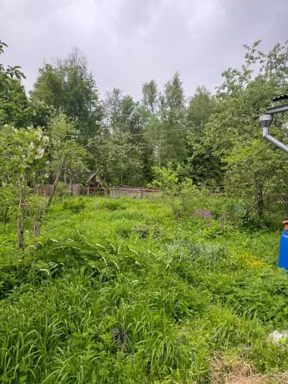Дом в Московская область, Пушкинский городской округ, Софрино пгт ул. ... - Фото 2