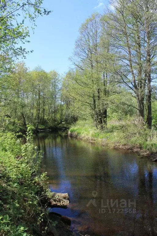 Купить Участок В Гдовском Районе Псковской