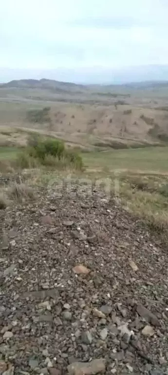 Участок в Алтайский край, Усть-Калманский район, с. Верх-Слюдянка ул. ... - Фото 2