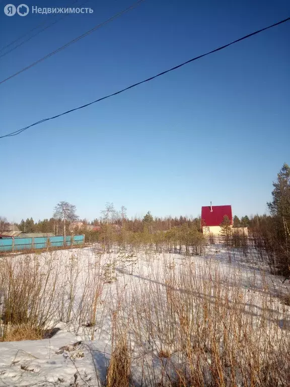 Участок в Архангельск, садовое товарищество Черёмушки (10 м) - Фото 1