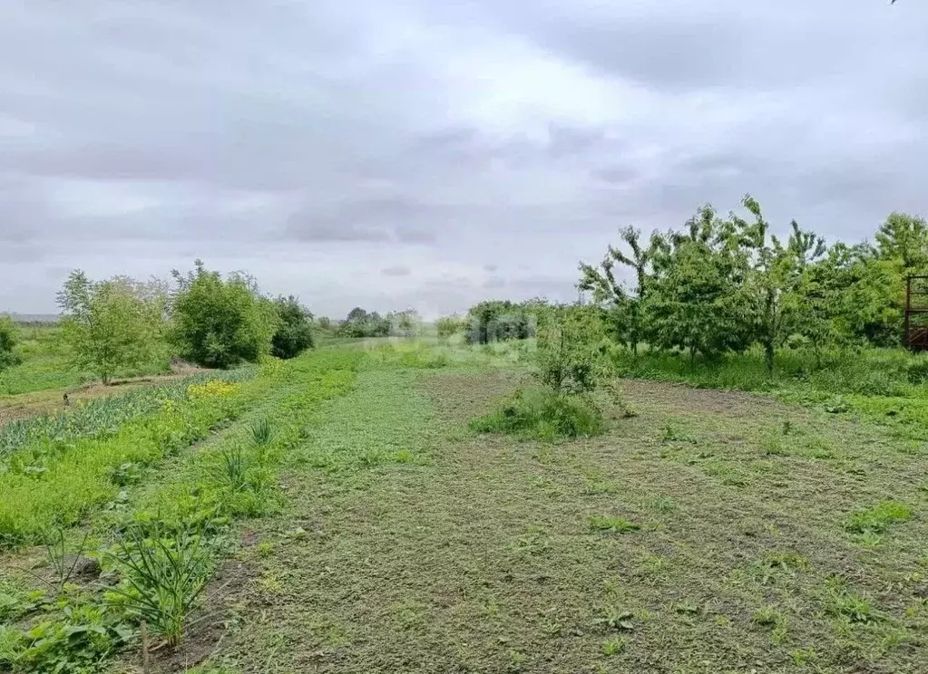 Участок в Ставропольский край, Предгорный муниципальный округ, ... - Фото 1