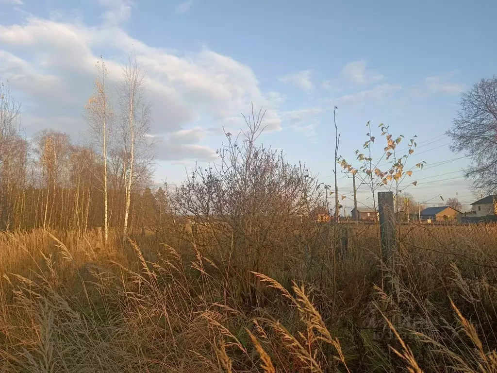 Участок в Московская область, Воскресенск городской округ, Фосфоритный ... - Фото 1