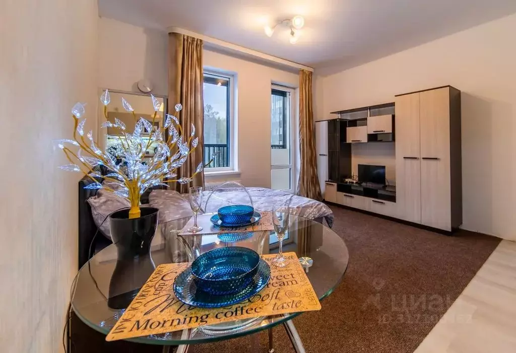 Студия Санкт-Петербург дор. Торфяная, 15к3 (24.0 м) - Фото 0