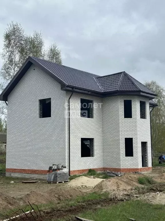 Дом в Нижегородская область, Бор городской округ, д. Васильково  (168 ... - Фото 1