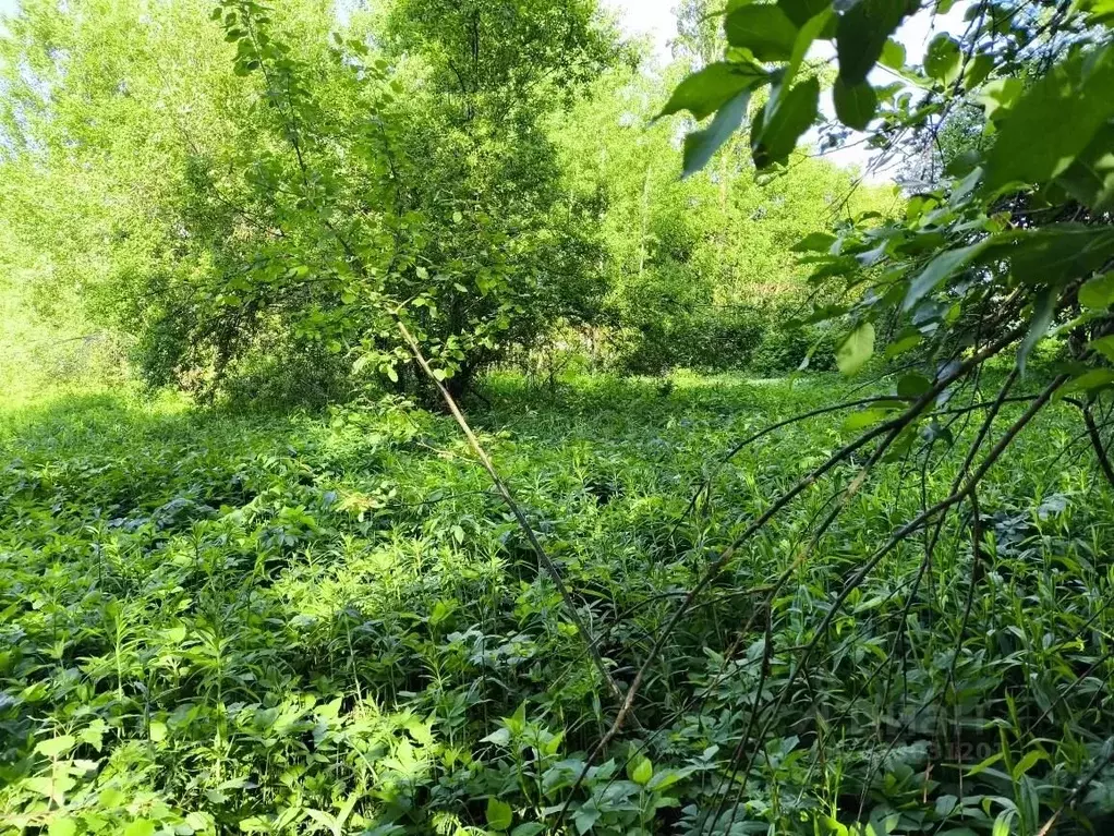 Участок в Московская область, Высоковск Клин городской округ, д. ... - Фото 1