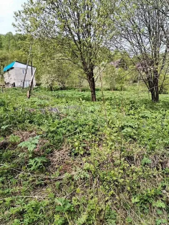 Участок в Горно-Алтайск, Снежная улица (9.51 м) - Фото 0