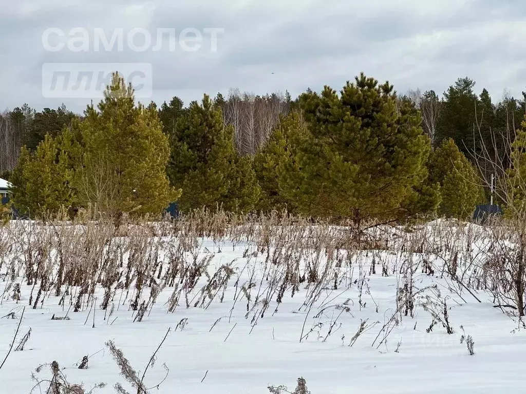 Участок в Тюменская область, Нижнетавдинский район, д. Штакульская  ... - Фото 1