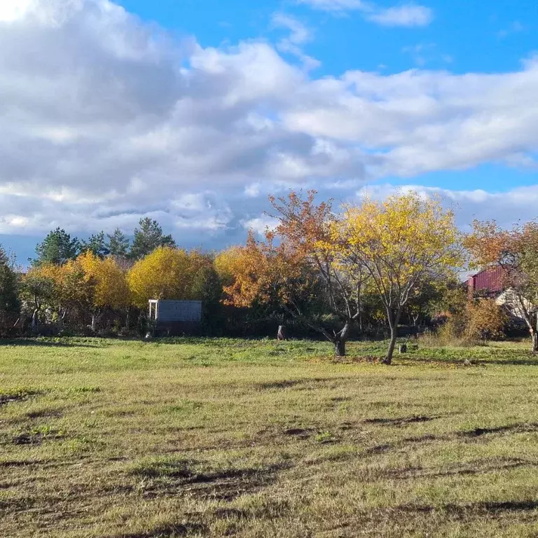 Участок в Воронежская область, с. Новая Усмань ул. Кирова, 88/3 (7.42 ... - Фото 1