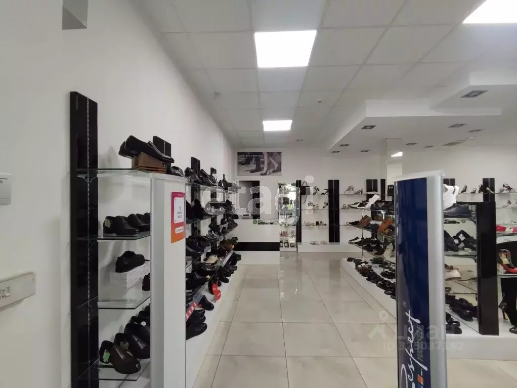 Офис в Краснодарский край, Геленджик ул. Горького, 17 (75 м) - Фото 2