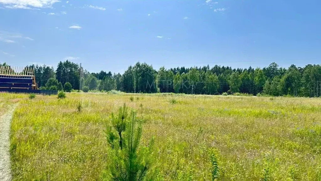 Участок в Тюменская область, Тюмень Поле Чудес садовое товарищество, ... - Фото 1