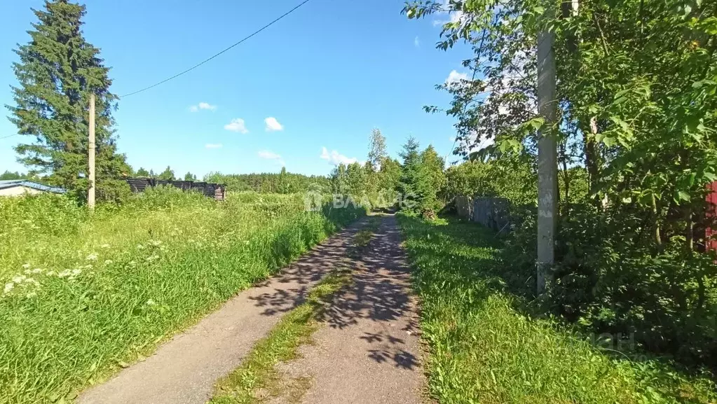 Участок в Ярославская область, Рыбинский муниципальный округ, ... - Фото 2