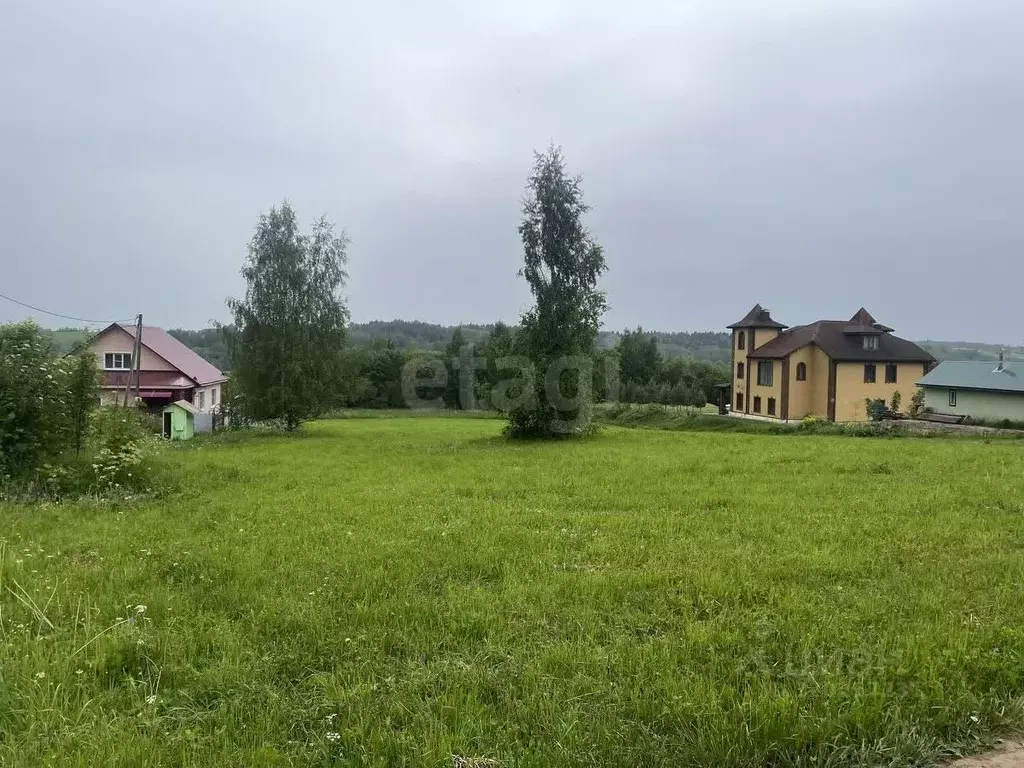 Участок в Вологодская область, Шекснинский муниципальный округ, ... - Фото 1