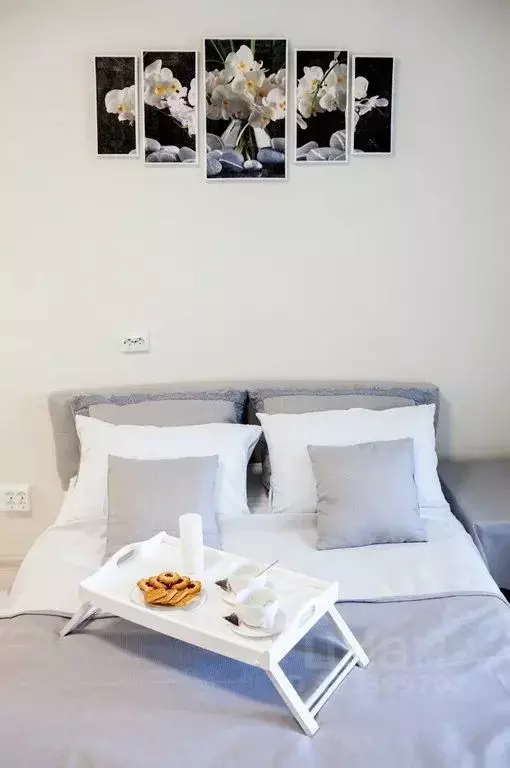 Студия Ленинградская область, Мурино Всеволожский район, бул. ... - Фото 2