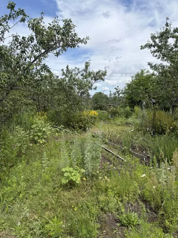 Дом в Московская область, Богородский городской округ, Феникс СНТ ул. ... - Фото 1