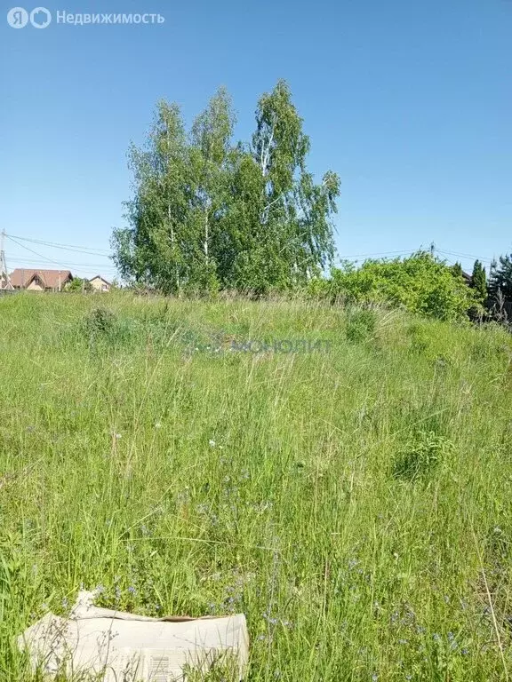 Участок в Нижегородская область, Балахнинский муниципальный округ, ... - Фото 0