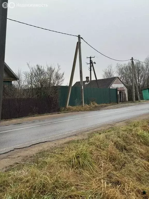 Участок в Рабитицкое сельское поселение, деревня Сосницы (10 м) - Фото 1