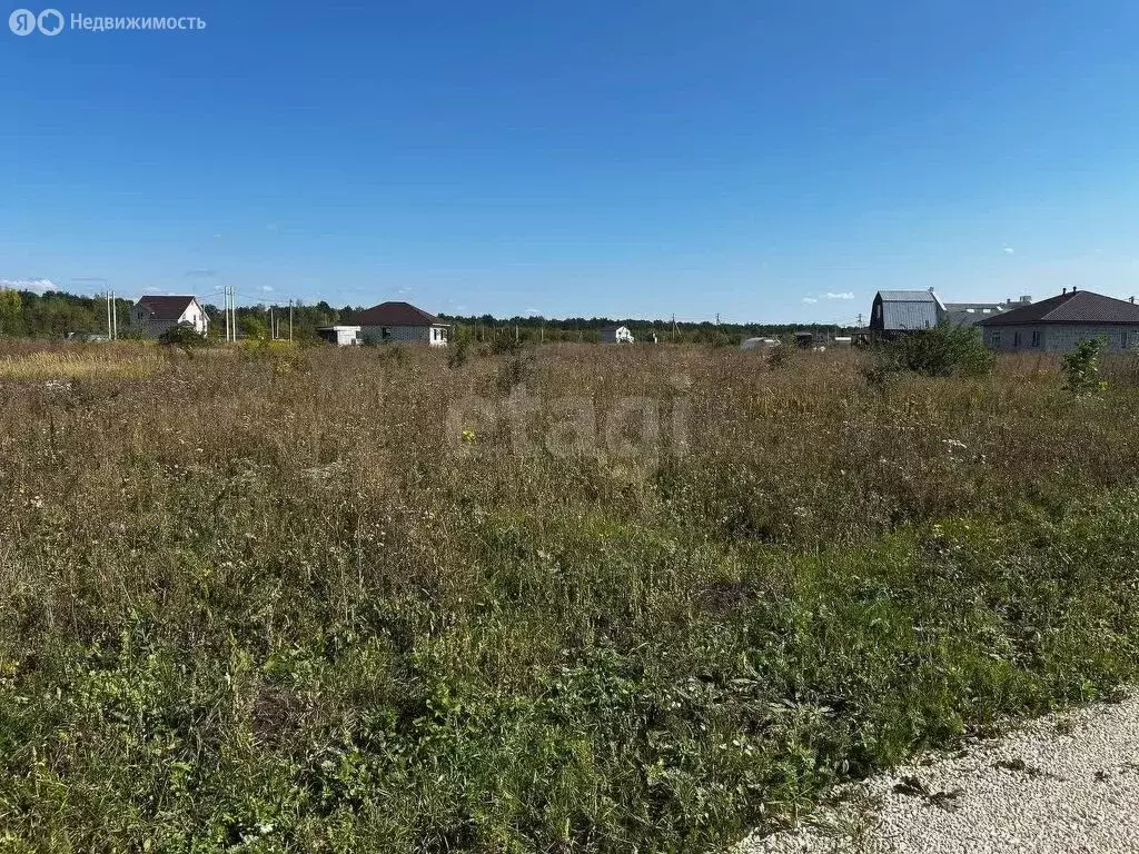 Участок в Липецкий муниципальный округ, село Сенцово (15 м) - Фото 2