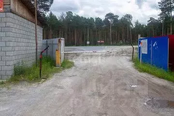 Участок в Ханты-Мансийский АО, Сургутского муниципального района тер., ... - Фото 0