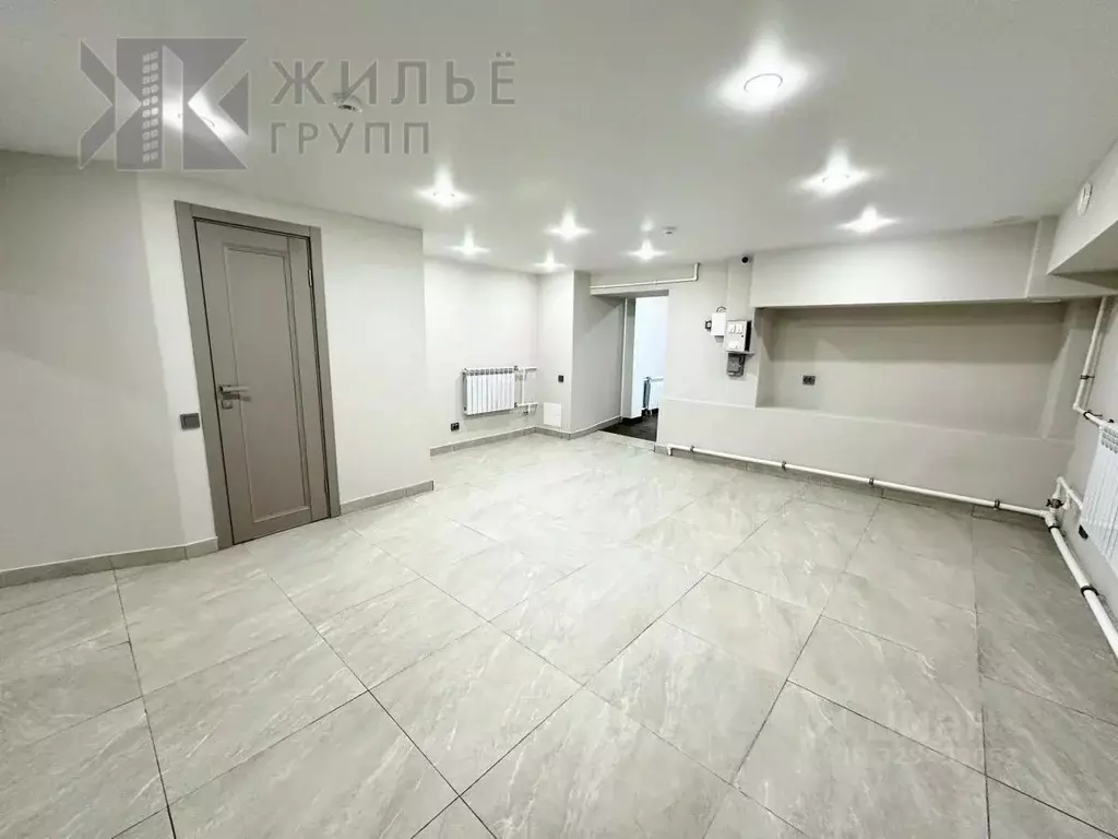 Помещение свободного назначения в Татарстан, Казань Ленская ул., 4 (66 ... - Фото 1