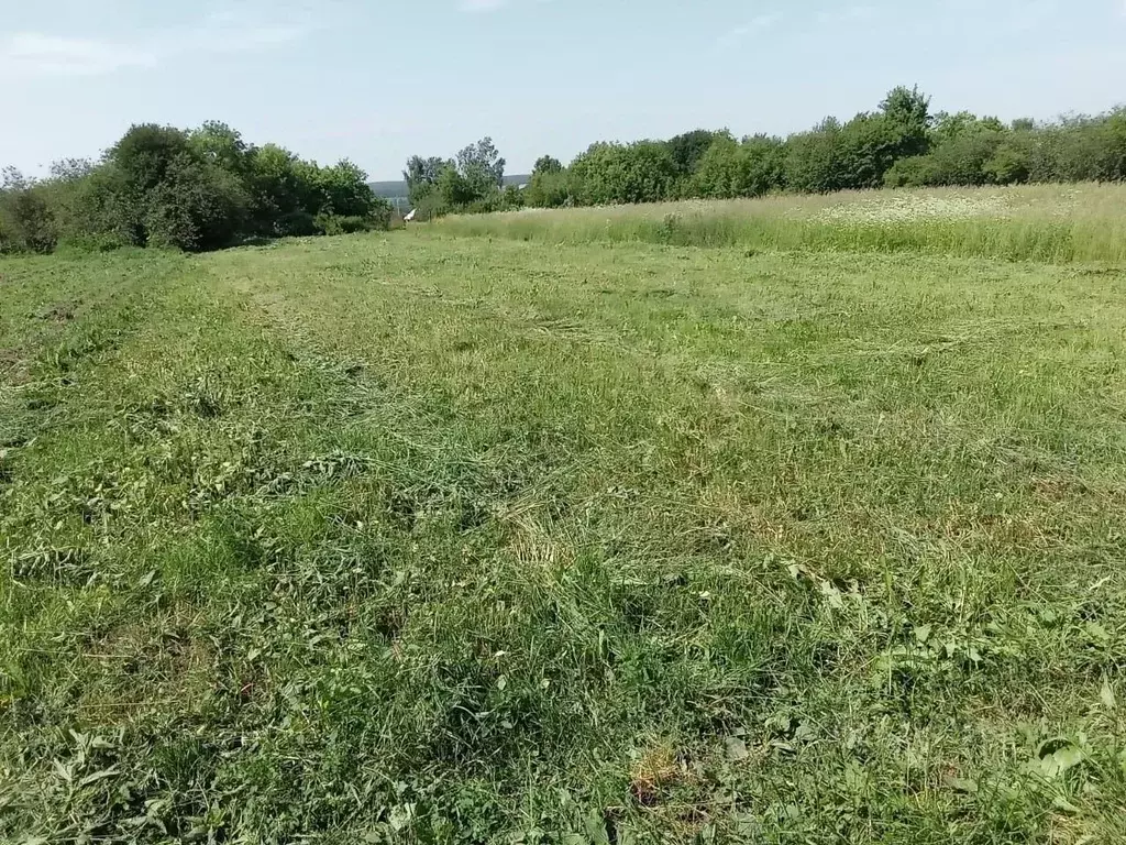 Участок в Нижегородская область, Богородский муниципальный округ, с. ... - Фото 0