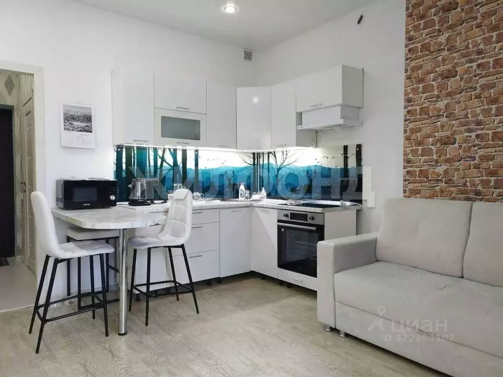 1-к кв. Новосибирская область, Новосибирск 2-я Обская ул., 154 (26.0 ... - Фото 2