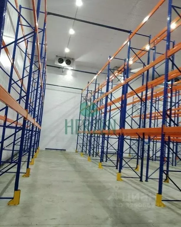 Склад в Московская область, Лосино-Петровский городской округ, д. ... - Фото 2