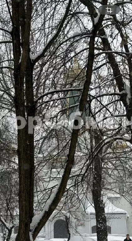 Продается 1-комнатная квартира - Фото 2