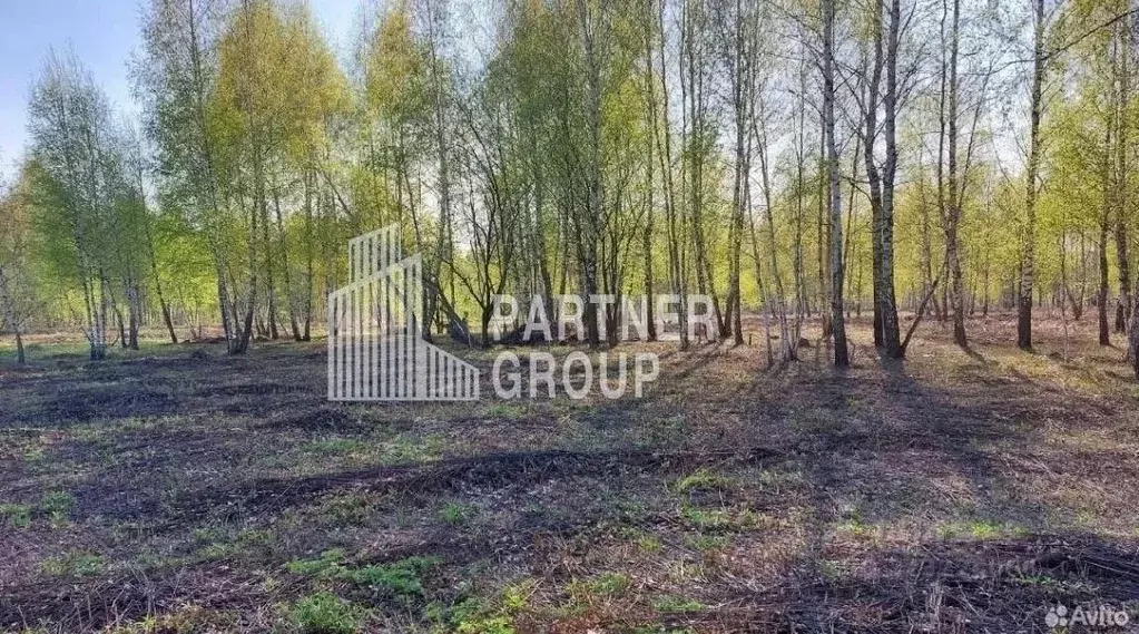 Участок в Тульская область, Тула городской округ, д. Новоселки  (12.0 ... - Фото 2