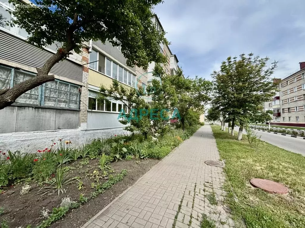 1-комнатная квартира: Новый Оскол, улица Ленина, 50 (31.7 м) - Фото 2